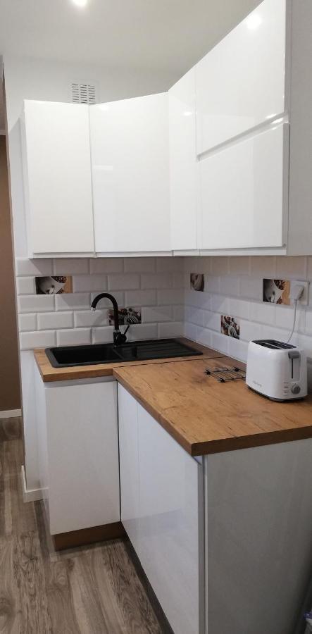 Apartament U Krzyzaka Apartman Malbork Kültér fotó